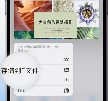 额济纳apple维修中心分享iPhone文件应用中存储和找到下载文件