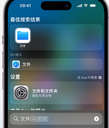 额济纳apple维修中心分享iPhone文件应用中存储和找到下载文件