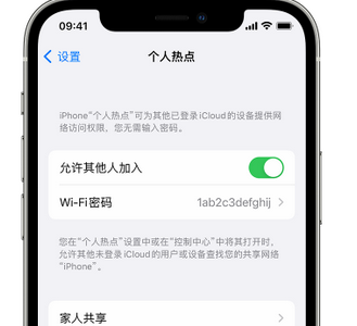 额济纳apple服务站点分享iPhone上个人热点丢失了怎么办