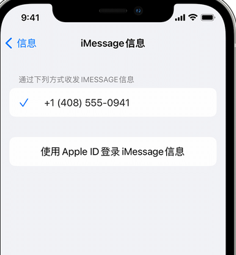 额济纳apple维修iPhone上无法正常发送iMessage信息 