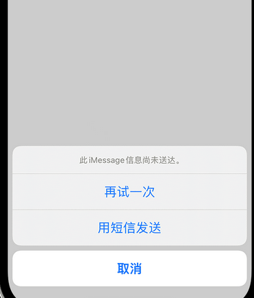 额济纳apple维修iPhone上无法正常发送iMessage信息