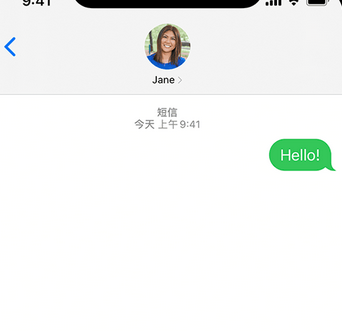 额济纳apple维修iPhone上无法正常发送iMessage信息