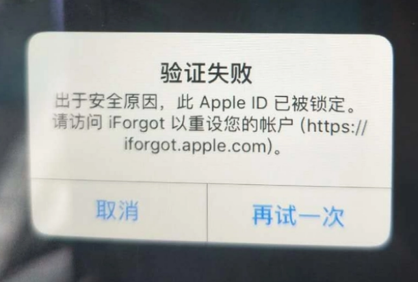 额济纳iPhone维修分享iPhone上正常登录或使用AppleID怎么办 