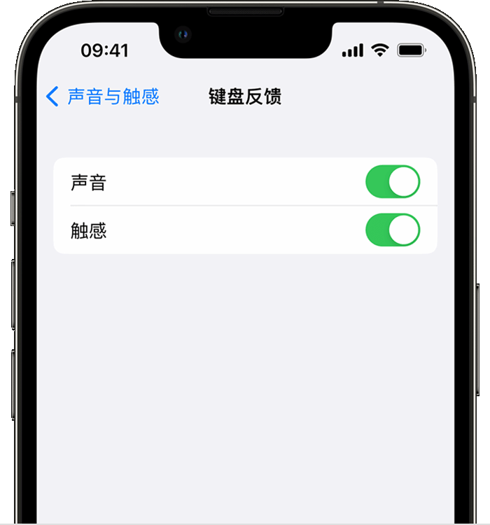 额济纳苹果14维修店分享如何在 iPhone 14 机型中使用触感键盘 