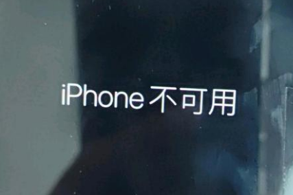 额济纳苹果服务网点分享锁屏界面显示“iPhone 不可用”如何解决 