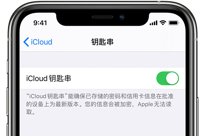 额济纳苹果手机维修分享在 iPhone 上开启 iCloud 钥匙串之后会储存哪些信息 