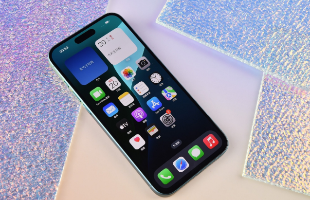 额济纳苹果手机维修分享为什么大家不喜欢苹果iPhone 16 Plus 